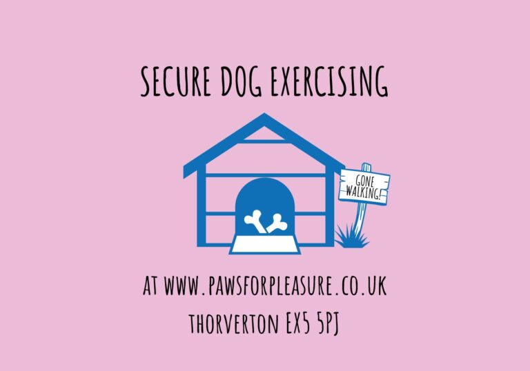 1860 0003d27f37e34867b01c49cc60e0aff6 1 768x538