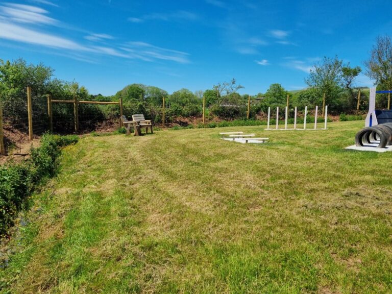 1860 7e19c0ed9a7fe88da20273761da3f050 1 768x576