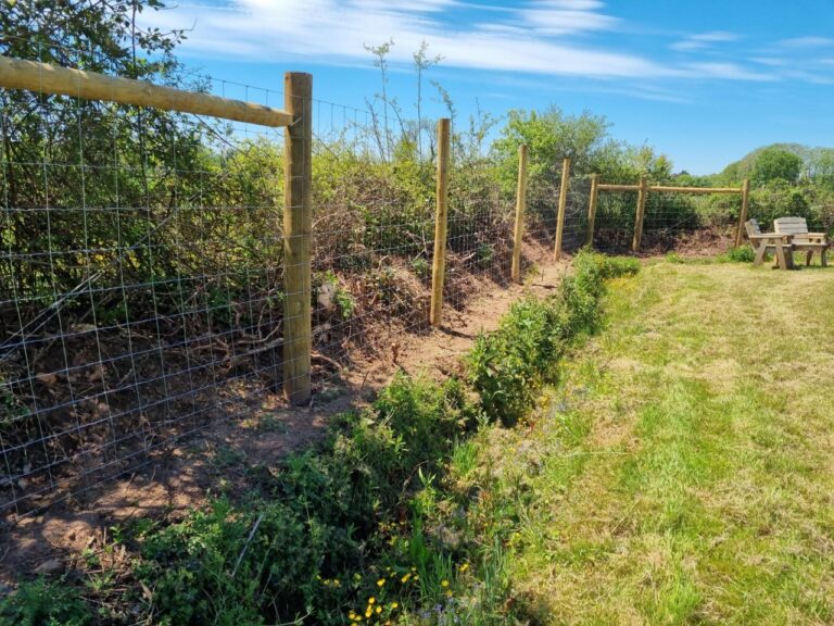 1860 9ba3c64c007b0e87a5d3d596c0493b4c 1 768x576