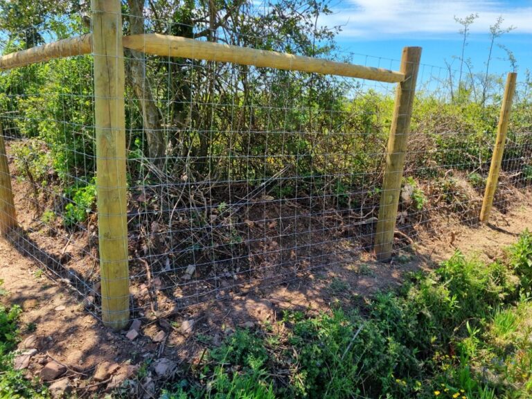 1860 9f76dc15c97f7a7ecbb2fcabd5ade36a 1 768x576