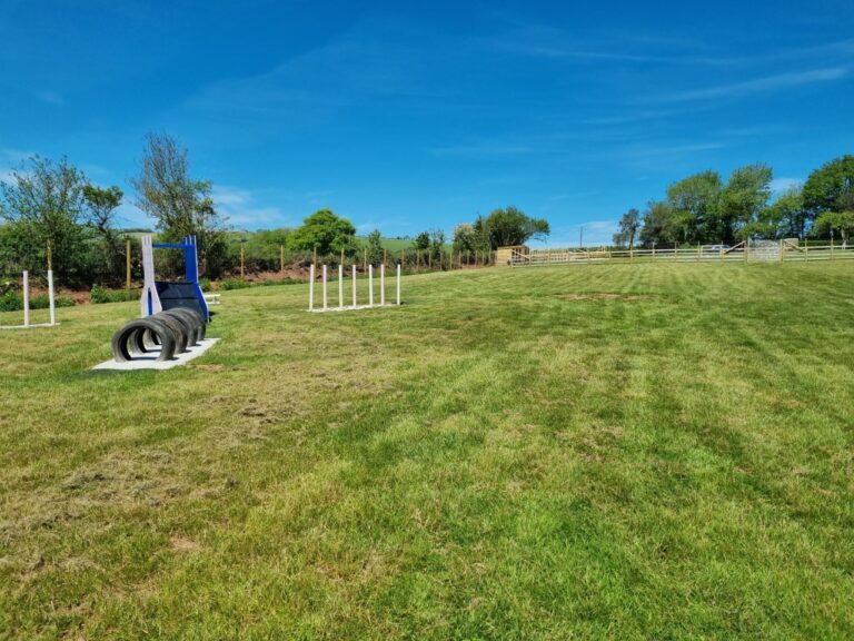 1860 e2e8a18458375dca990a604f01755c97 1 768x576