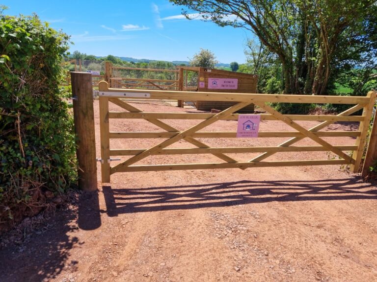 1860 fbb6ad43dc2a93bb2c867d07720f86b2 1 768x576