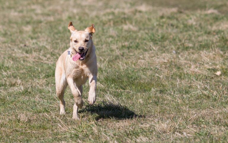 1866 891525f7affce74867cc5c2ca4aa5f11 1 768x480