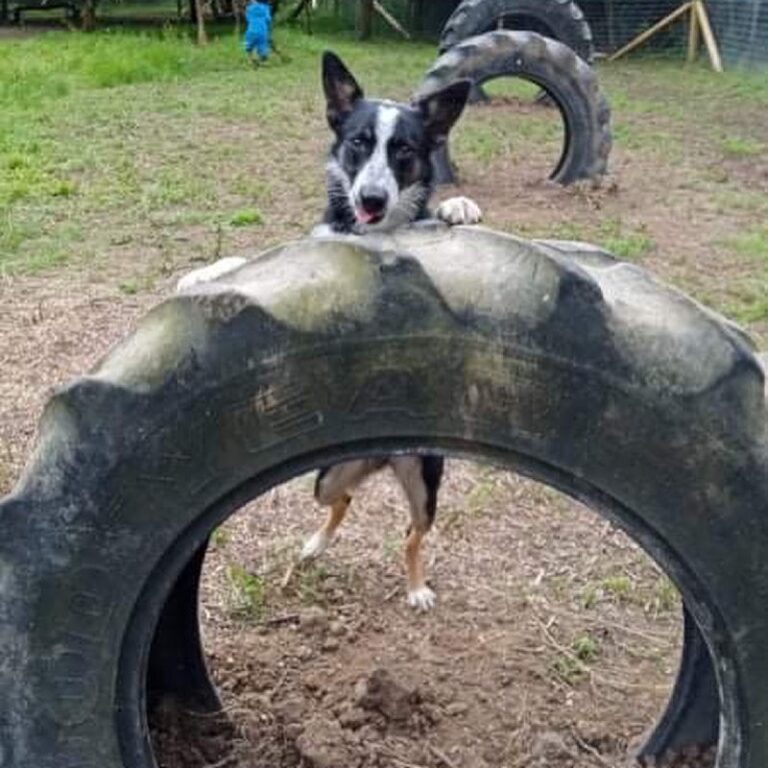 1890 aed6f838bd61fa27ce5688f9353447fa 1 768x768