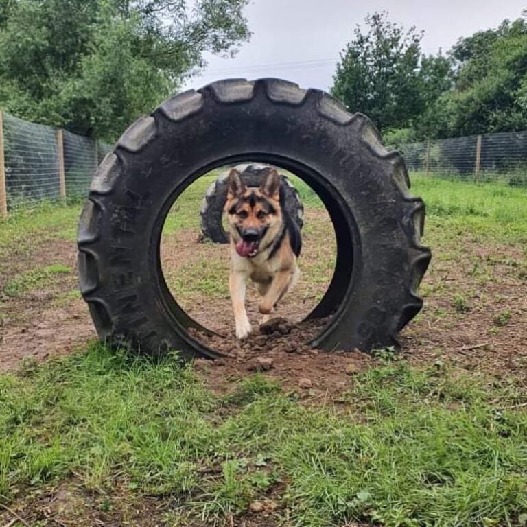 1890 b5d30a0d4486d0737c5d409ed96c4ef3 1 768x768