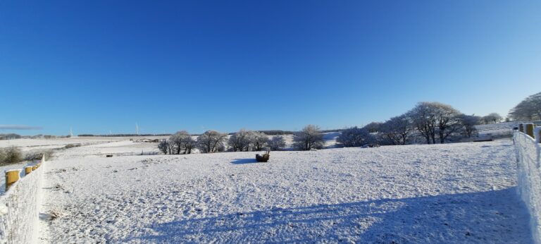 1897 201644b87d3dcb37ef7d182f3309bb42 1 768x346