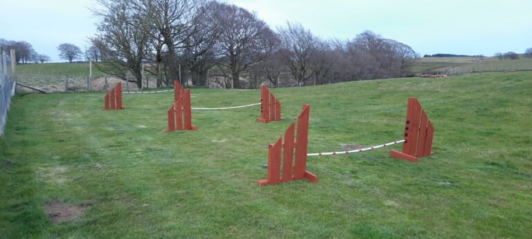 1897 a1128bd477894c2a43605f3a7046ff15 1 768x346