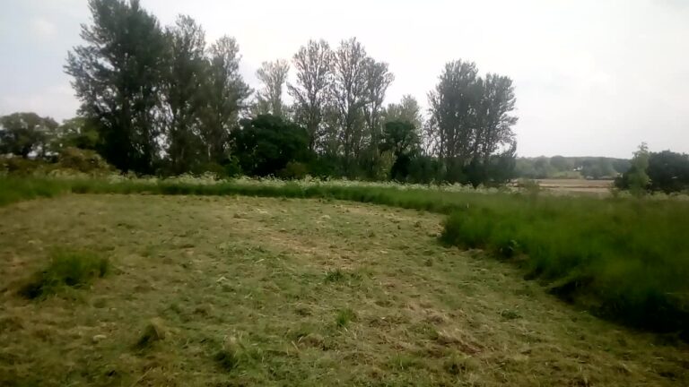 1900 14c9c135cfdba8bbbb809bec2291d67e 1 768x432