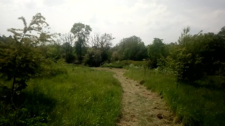 1900 2cafb70e57dd1db7dc417ae2b5383297 1 768x432