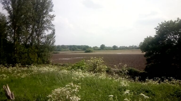 1900 69a9a30c75084f6e73def17ac107264b 1 768x432