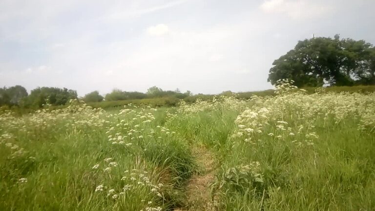 1900 8d18a10772dd7d4811701b037e634ee8 1 768x432