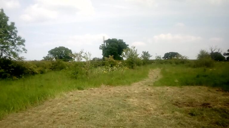 1900 fc08966f640869eebe7fd36fb829f32b 1 768x432