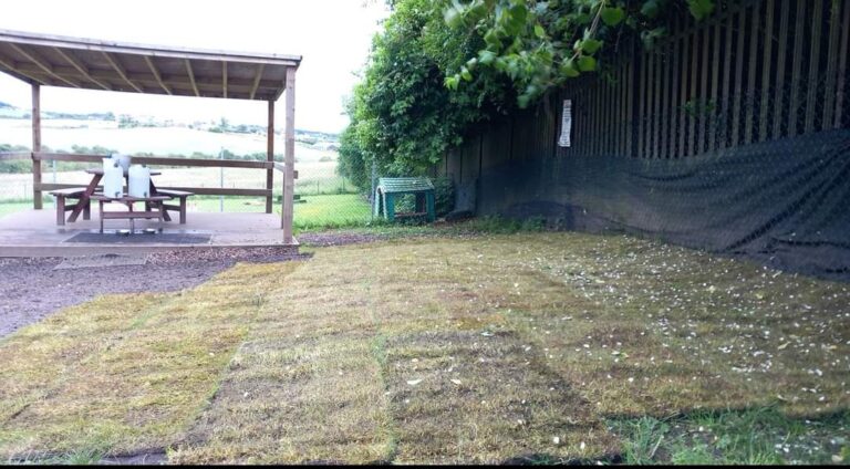 1901 0a005e918b06fb7a37db8674b9859b65 1 768x424