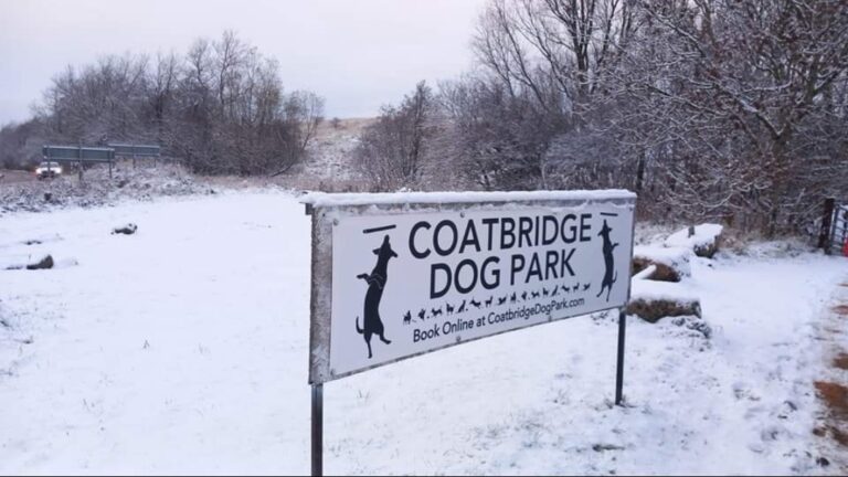 1901 1409c0b5ebaf58ab092f56e94234f14b 1 768x432