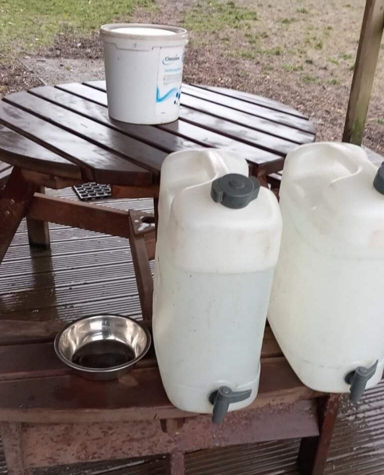 1901 2757a29ff5657b3bf7a56f5dcdc00e09 1 768x949