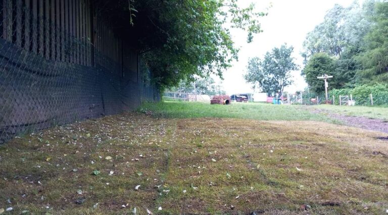 1901 41aaffea11e61af9379114ad951735b7 1 768x425