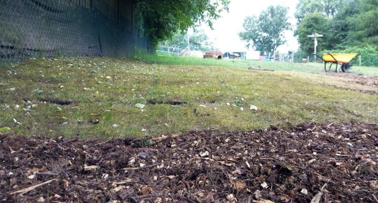 1901 4390175c6f91d8e44c4092de8f14e441 1 768x413