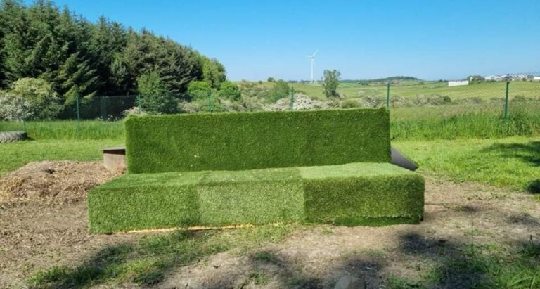 1901 4f4de0a33882f5700670e2829d90f7ca 1 768x411