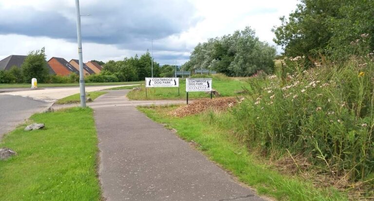 1901 8bdc0f3d90047a70ddc3201a47e7296e 1 768x414