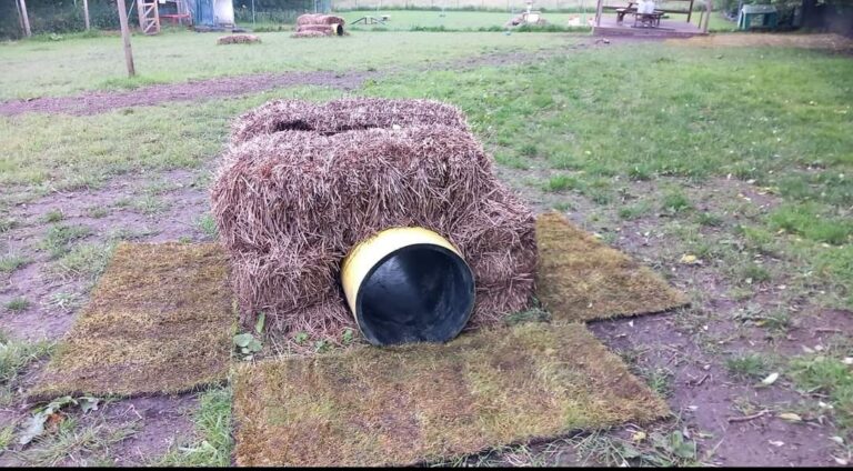 1901 aa7dfb57e0e4b00a5aa519d5195edcd2 1 768x424