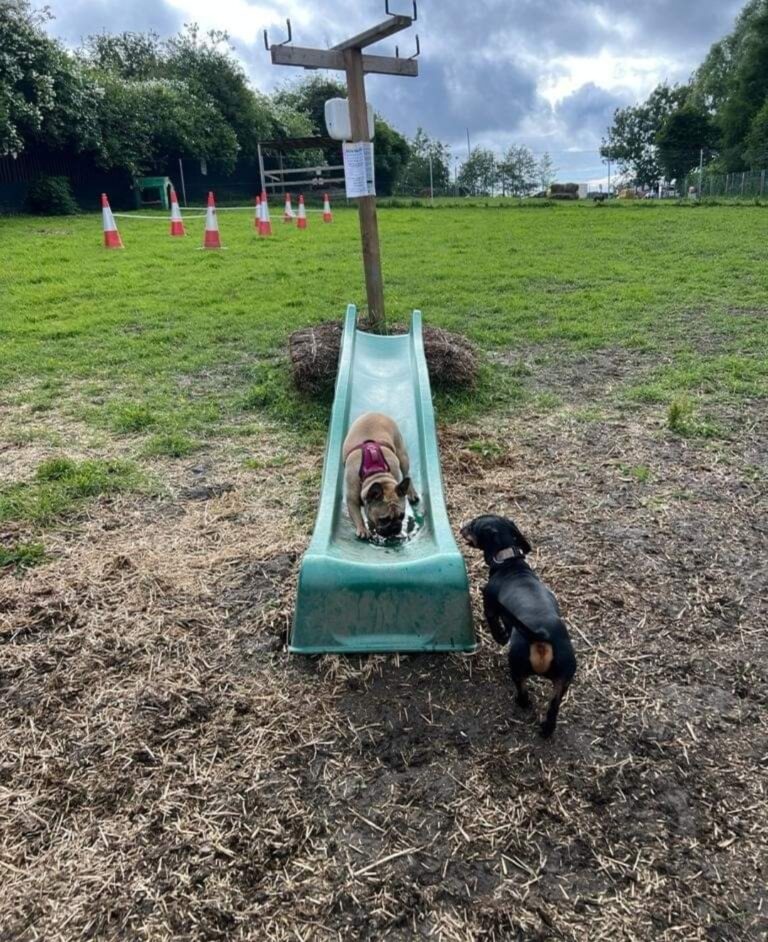 1901 c9b61bbeb852d61bb812717f64eba92e 1 768x942