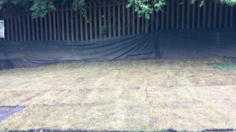 1901 e75d3197dc769d1744c2d1f081c2172c 1 768x430