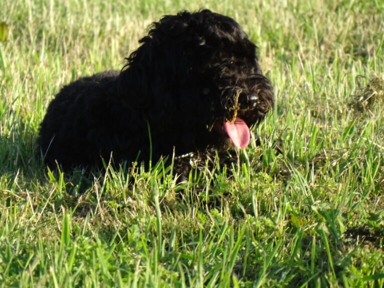 1905 3bfcc20dc75dcfd2b0cbe2dc9f7b399f 1 768x576