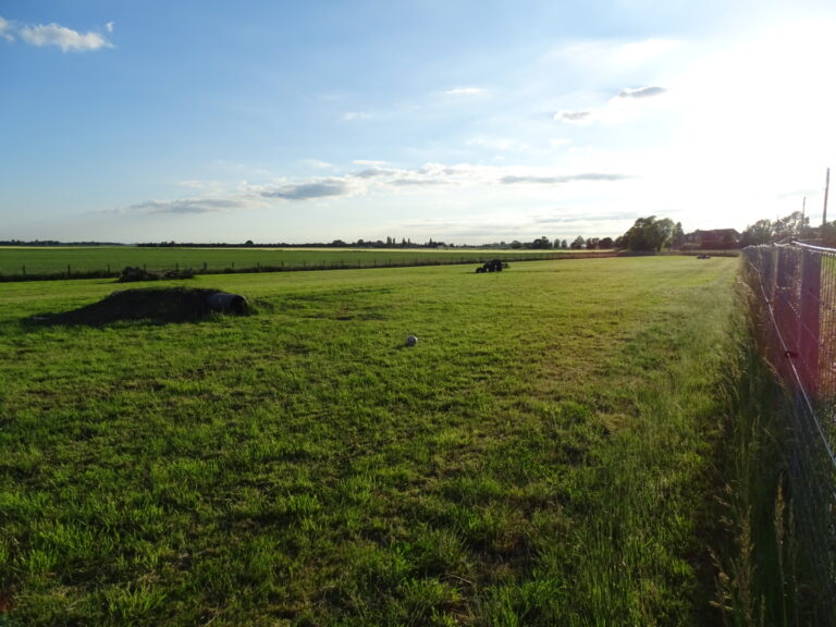 1905 8effa9f395d569668de0dcdda2e0ff4e 1 768x576