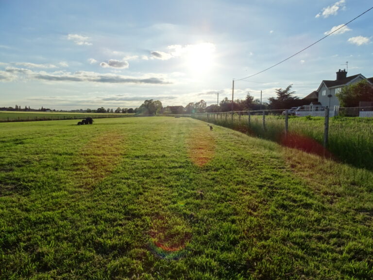 1905 965cc406e8c482801005cb6f7902b505 1 768x576