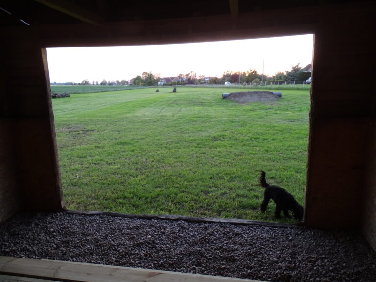 1905 b31fac211f72c923cba7f2196174af84 1 768x576