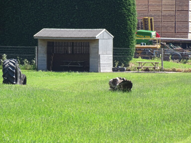 1905 f6e6977ef26ed100568e19e77f9d102b 1 768x576