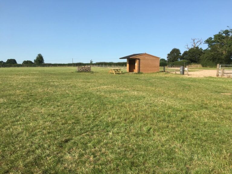 1916 7b9635e62e34a61418a4468285b6255f 1 768x576