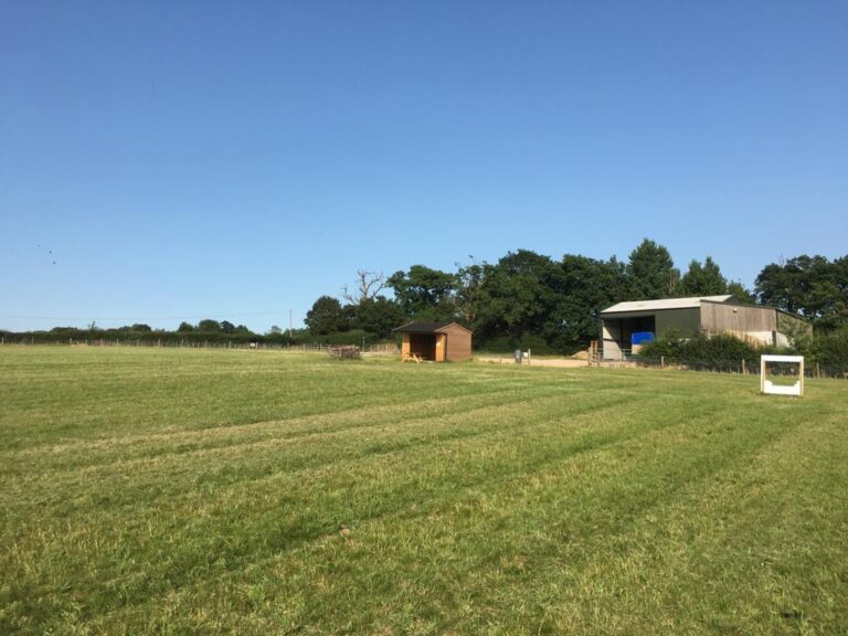 1916 c8902b092848cec7eed242a6e66252e7 1 768x576