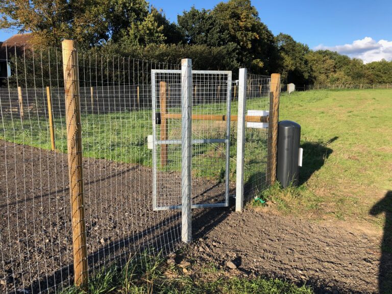 1918 8362ca5debb6bd45f826b684eaf728f7 1 768x576