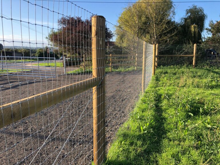 1918 f3a910336b1dda08af36d83ba7586be5 1 768x576