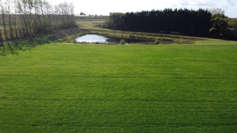 1919 3ae7a8dd6e56e0740accce951a2ea730 1 768x432