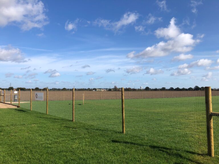 1919 a2c839dacd9fe502fbc8ea4725b5c0ac 1 768x576