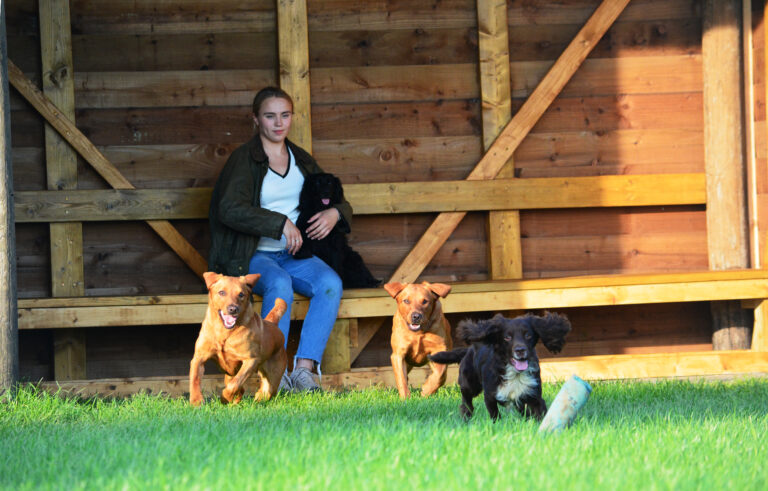 1923 9ac301ebf800233861a81ccd61b190a5 1 768x491