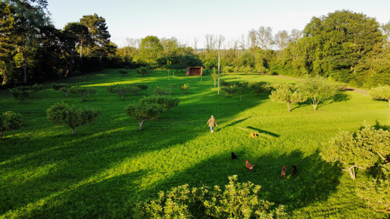 1923 b60726ef39ac70c6999689f103207d3d 1 768x432