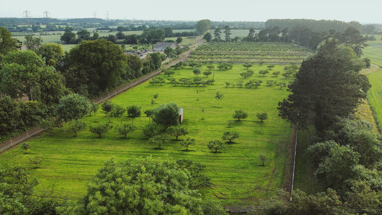 1923 ba59896420e46c4876fda4d0566c4ccf 1 768x432