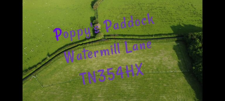 1924 2f3c2c30a2118306d28bb691ff633eb2 1 768x346