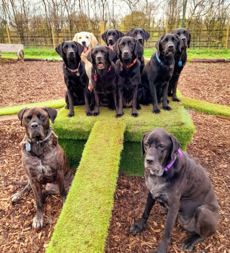 1930 2973199bf554aaa5b03ca2d3c40254bb 1 768x845