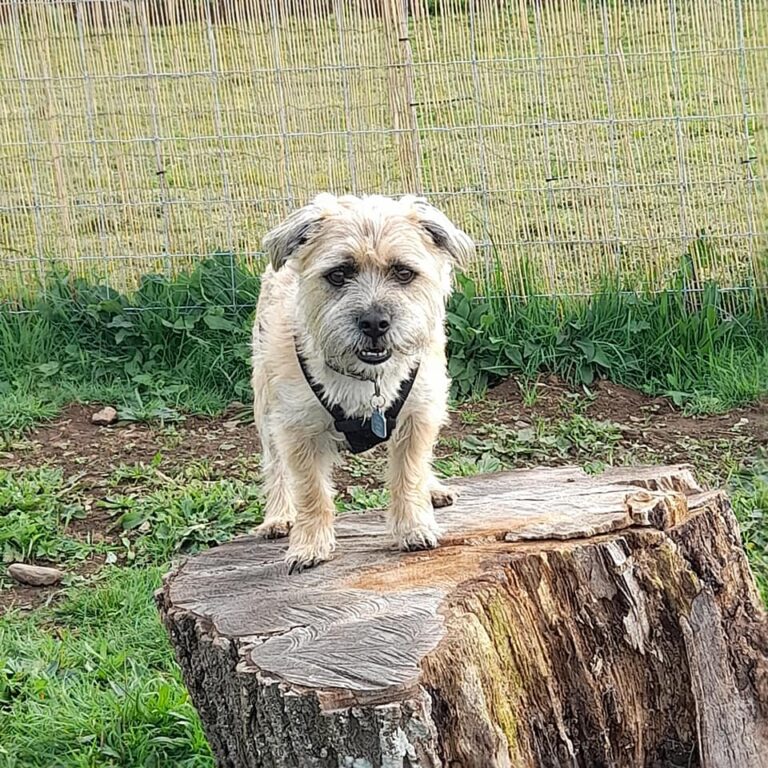 1930 9e720c278446f69a5f3d6dc2b92b5a94 1 768x768