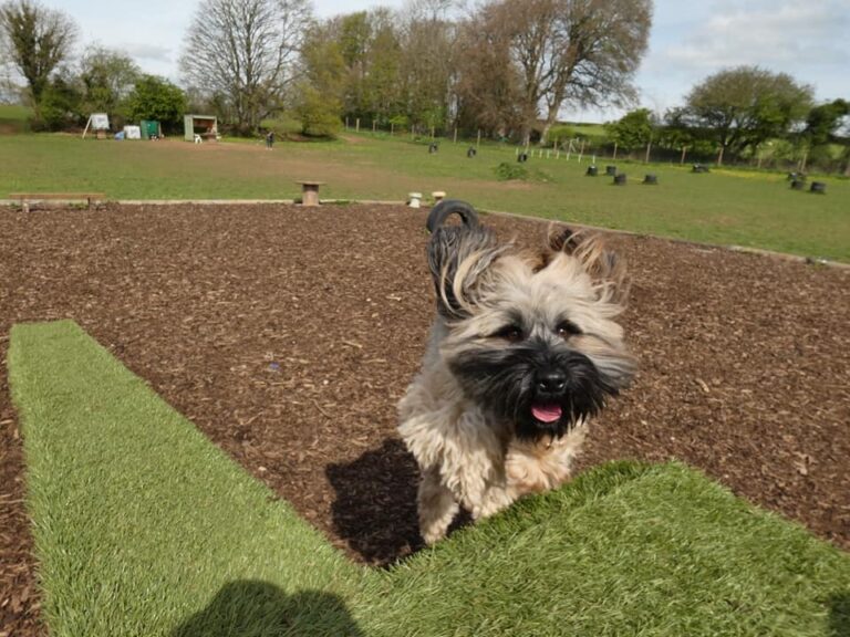 1930 eea0e005c1330d8995f966c6727d1217 1 768x576