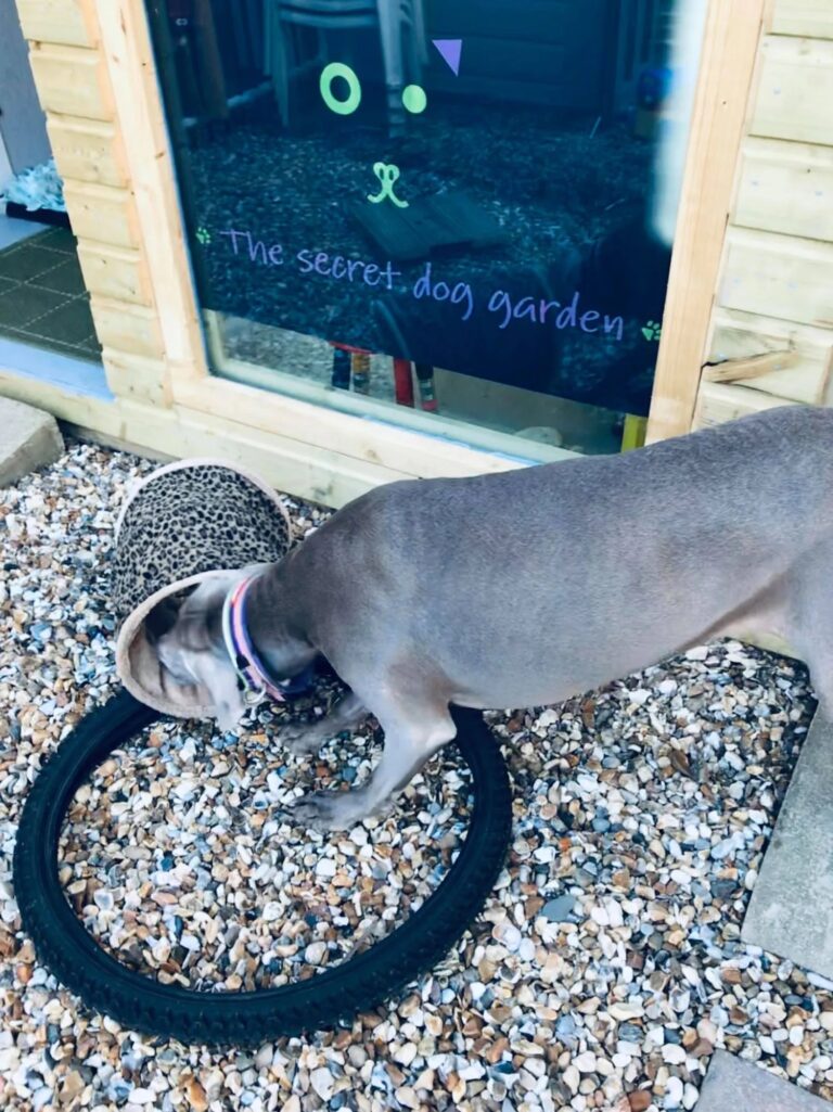 1931 06dc96d0b0da56f429b662b258b6600e 1 768x1025