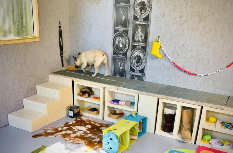 1931 43df866443d1eac92551832624f7ad48 1 768x504