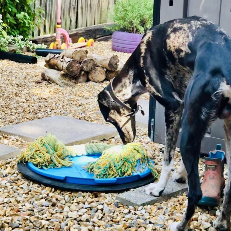 1931 615806d1e70e11f2b1668055d4aaf40b 1 768x768