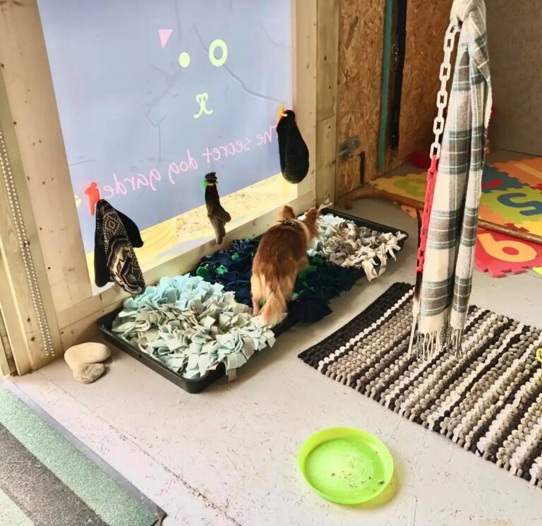 1931 8832bda5ccb7911ee679e9ddf82b3488 1 768x745