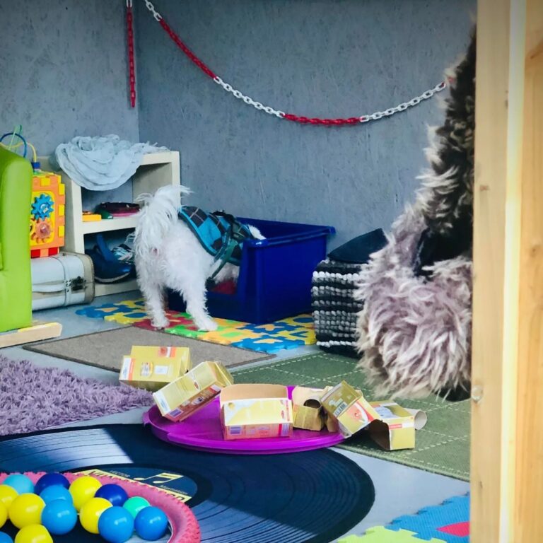 1931 c7976df3163d6aa66f3606fc9f081bd6 1 768x768