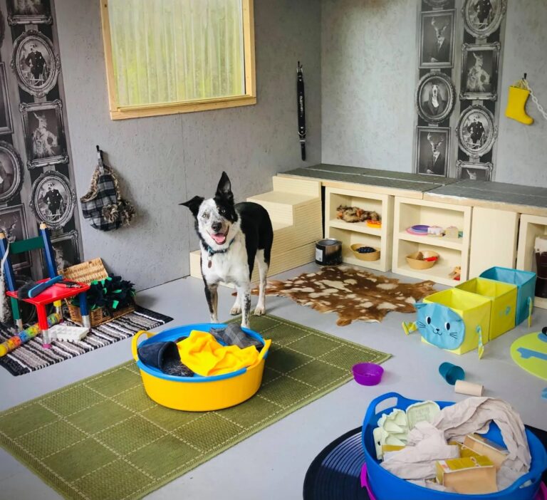 1931 ccd3b77bbbfa363ae949fdb22acb9438 1 768x702